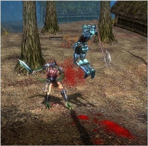 Скриншот из игры 2Moons - 39