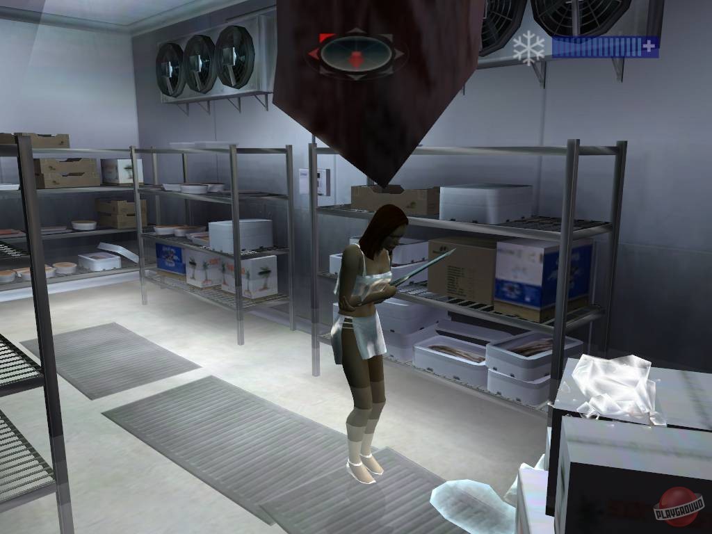 Скриншот из игры Alias - 21