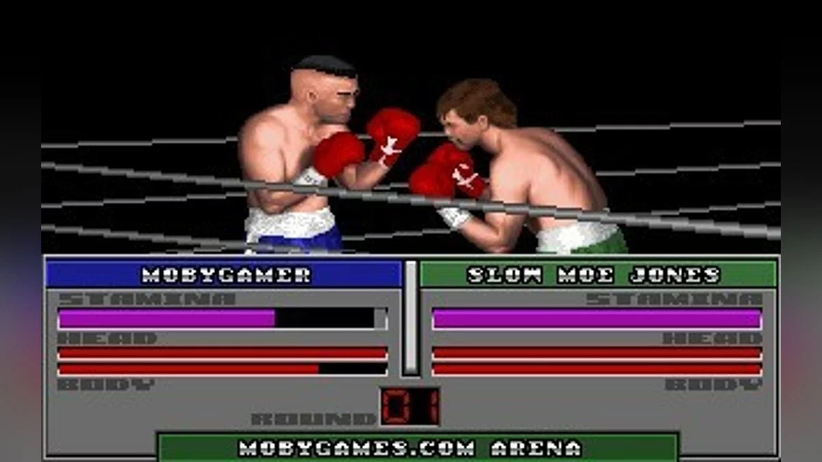Скриншот из игры ABC Wide World of Sports Boxing - 10
