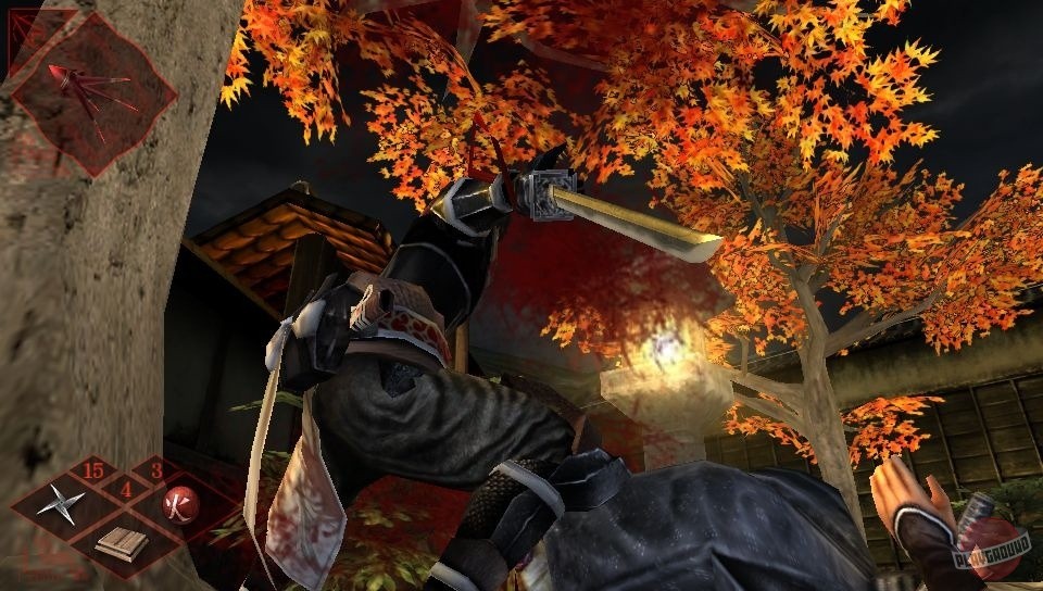 Скриншот из игры Shinobido 2: Revenge of Zen - 3