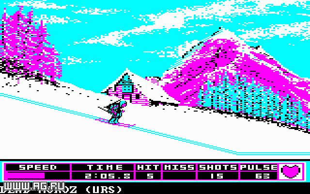 Скриншот из игры Winter Games - 27