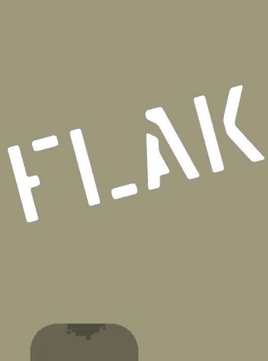 Обложка FLAK