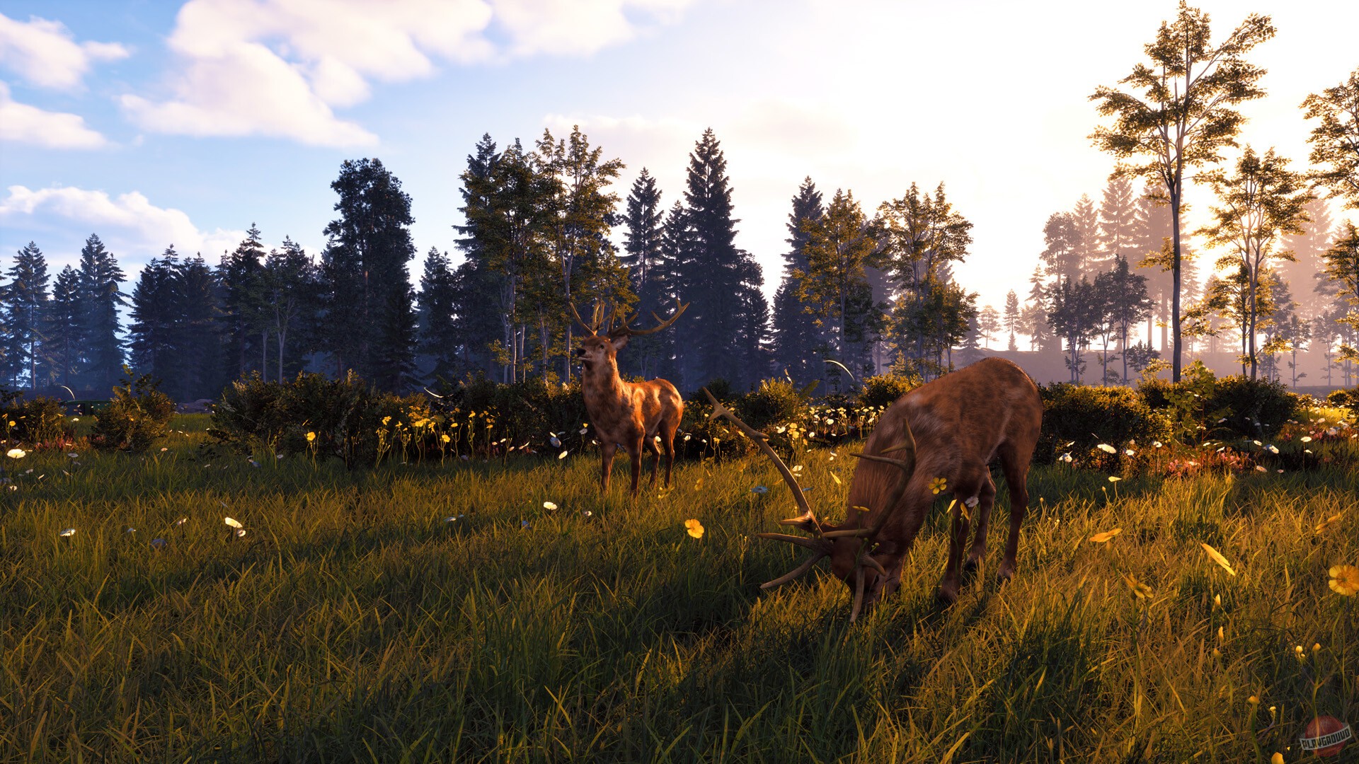 Скриншот из игры Windstorm: Start of a Great Friendship - 3