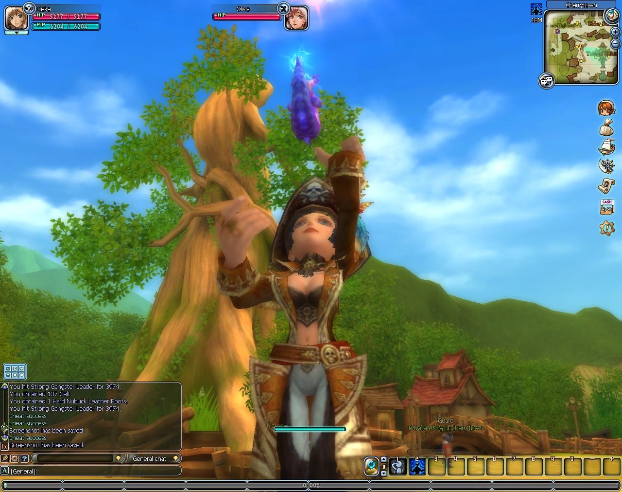 Скриншот из игры Florensia - 182