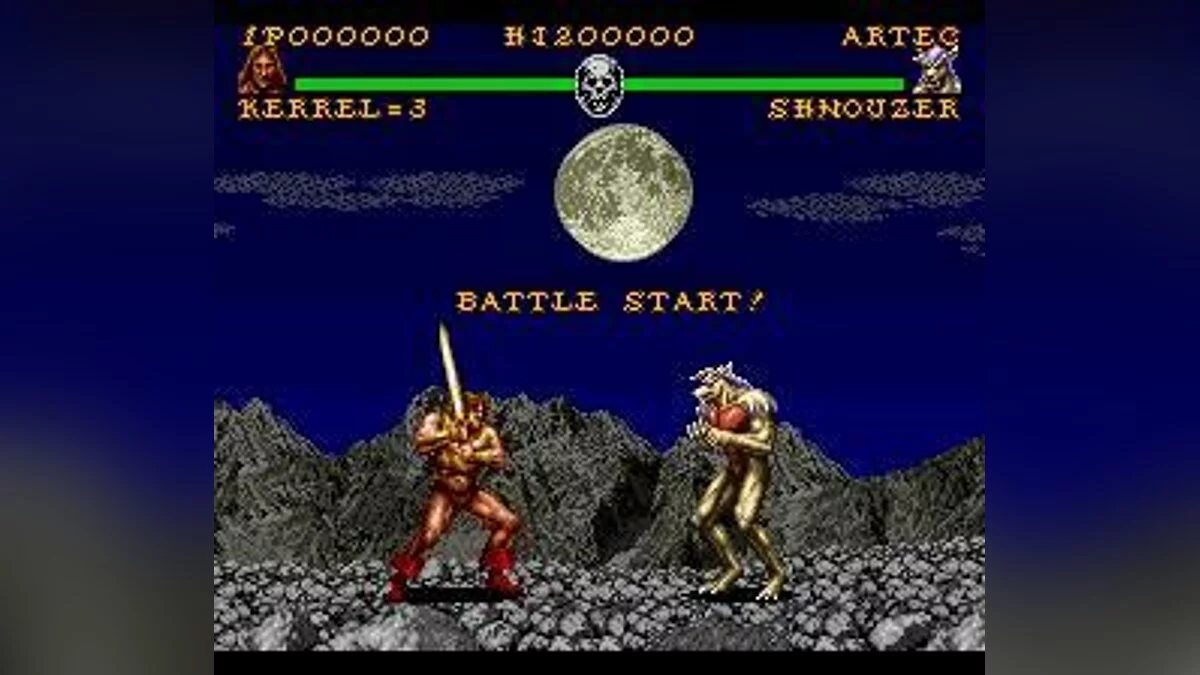 Скриншот из игры Battle Blaze - 9