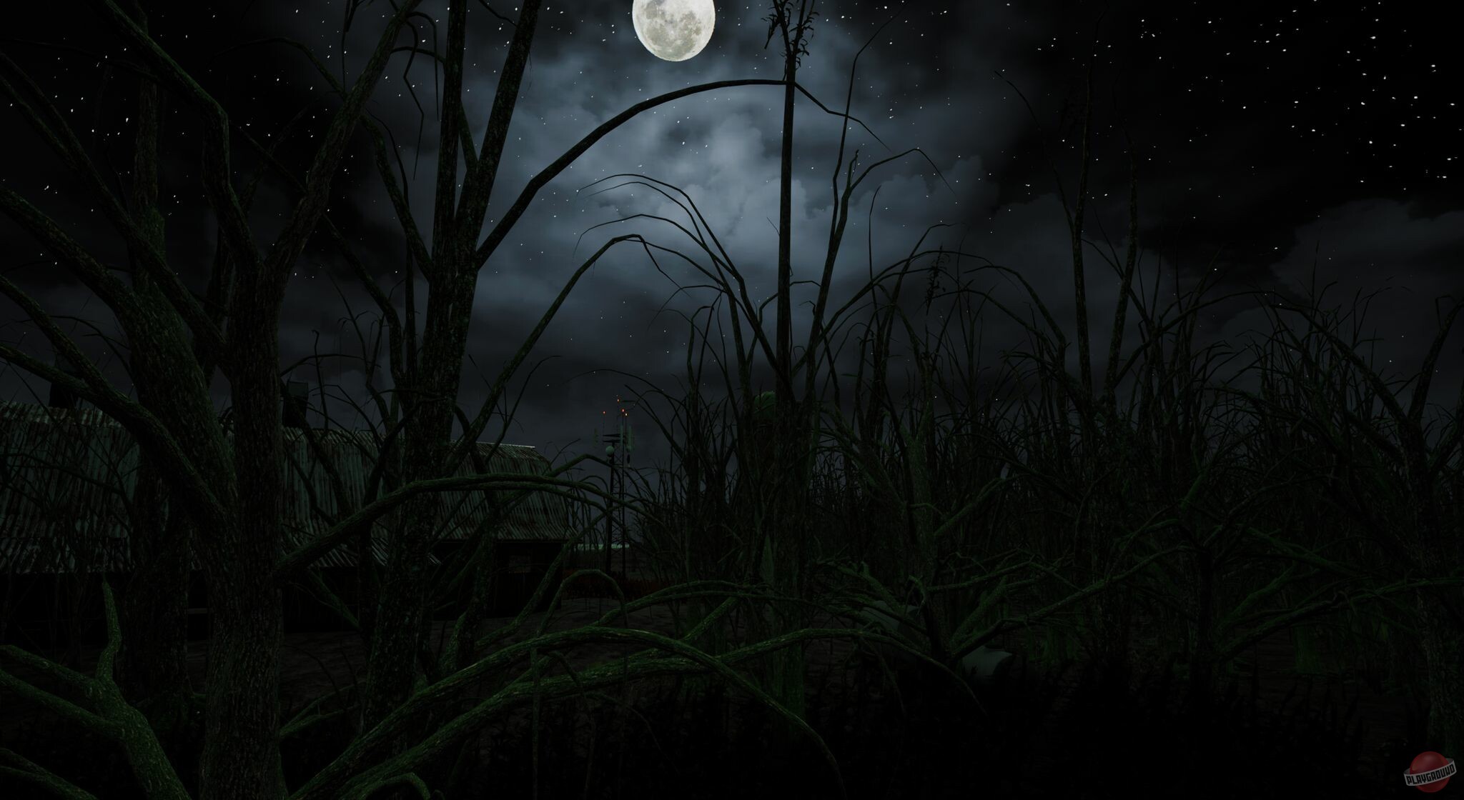 Скриншот из игры Descending The Woods - 5