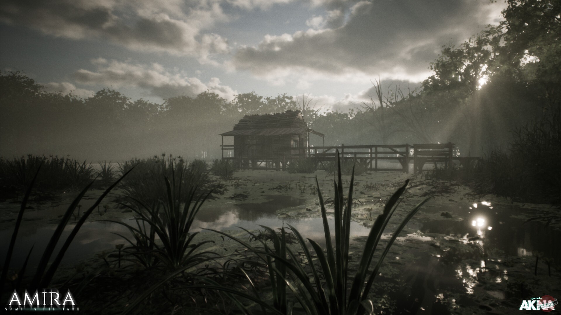 Скриншот из игры Amira - Name In the Dark - 2