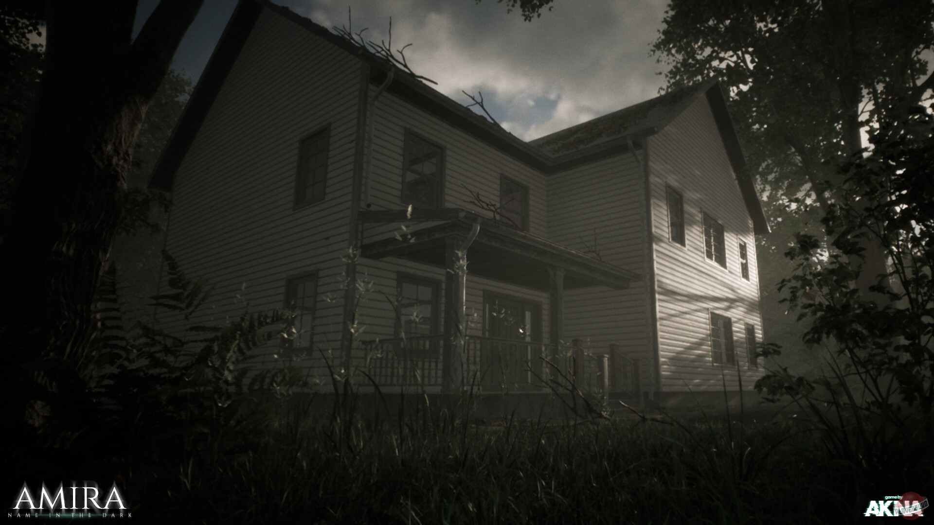 Скриншот из игры Amira - Name In the Dark - 4