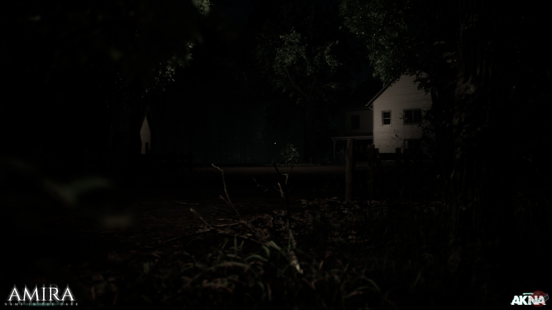 Скриншот из игры Amira - Name In the Dark - 5