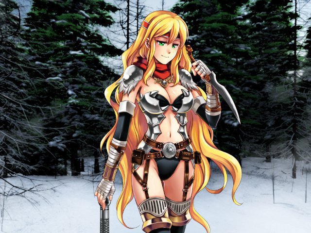 Скриншот из игры The King's Heroes - 5