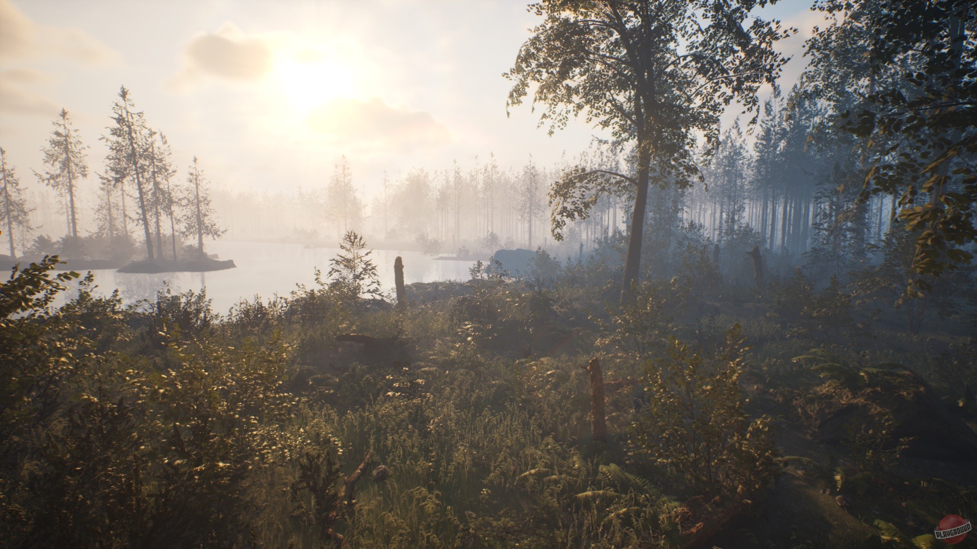 Скриншот из игры Проект: Тайга - 10