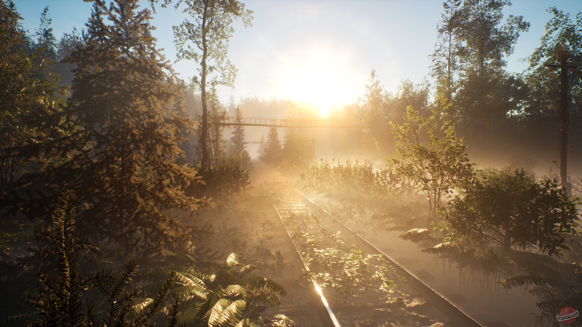 Скриншот из игры Проект: Тайга - 3