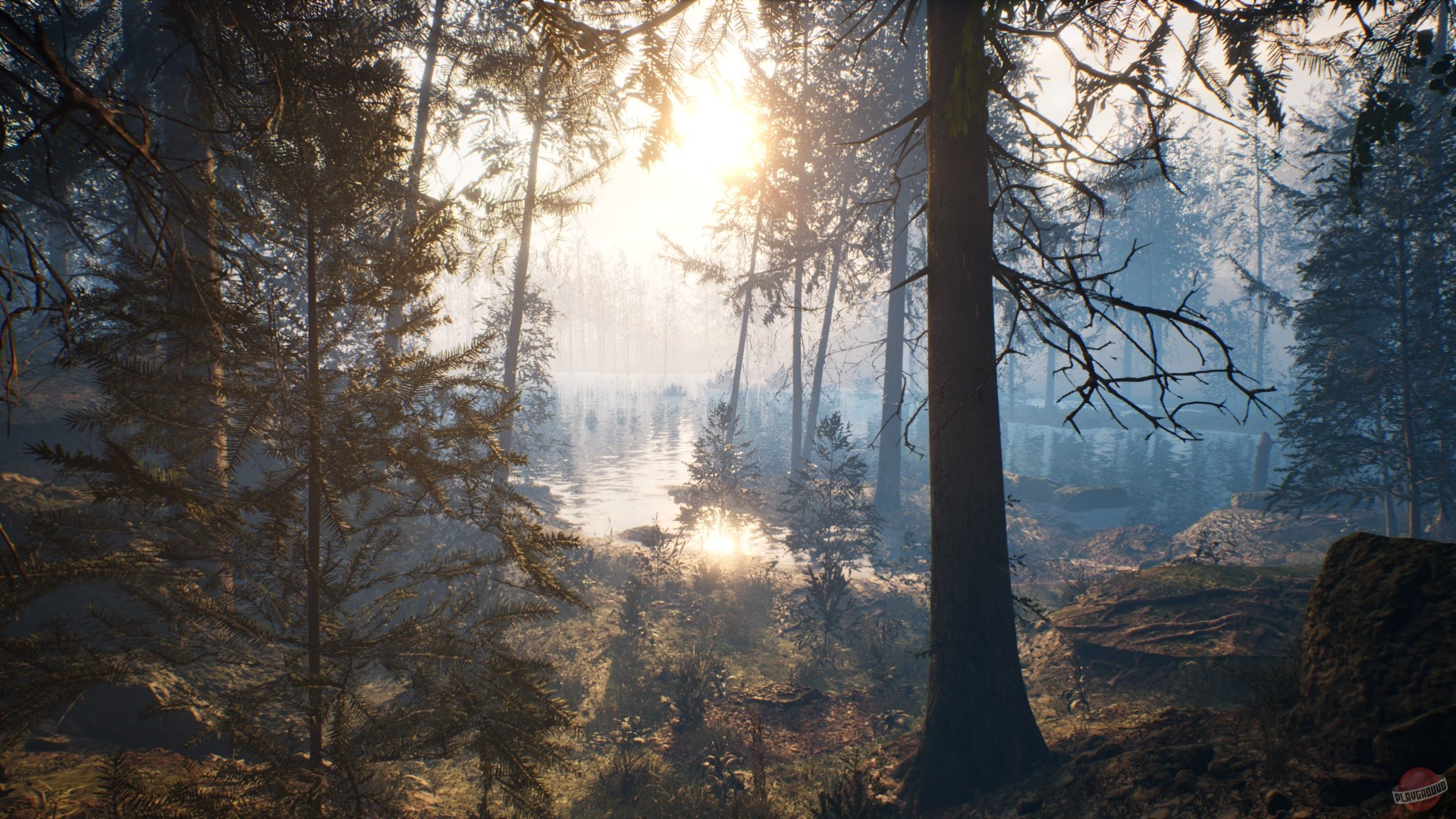 Скриншот из игры Проект: Тайга - 12