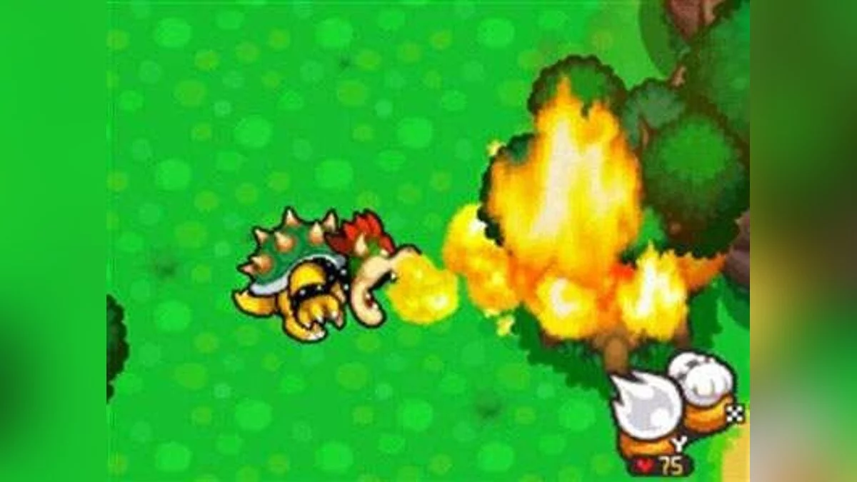 Скриншот из игры Mario & Luigi: Bowser's Inside Story - 3