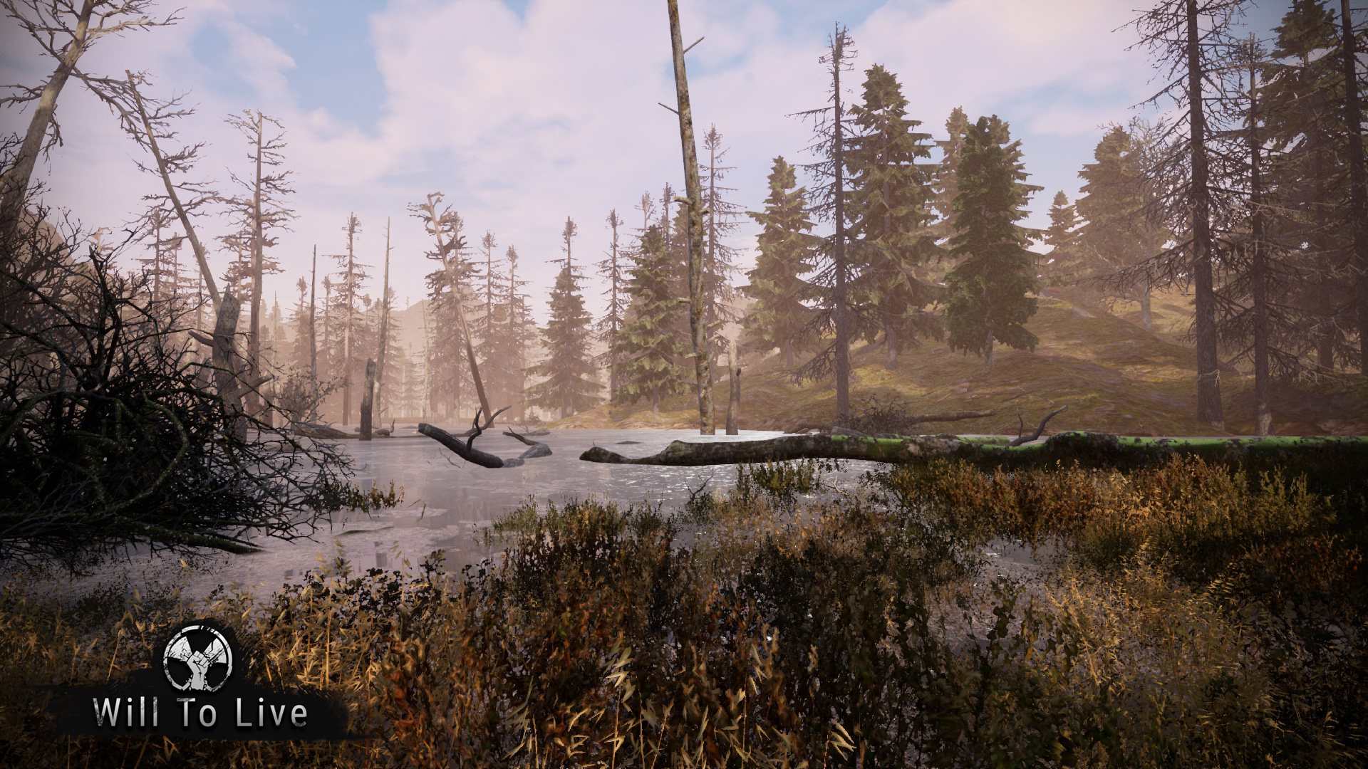 Скриншот из игры Will To Live Online - 71