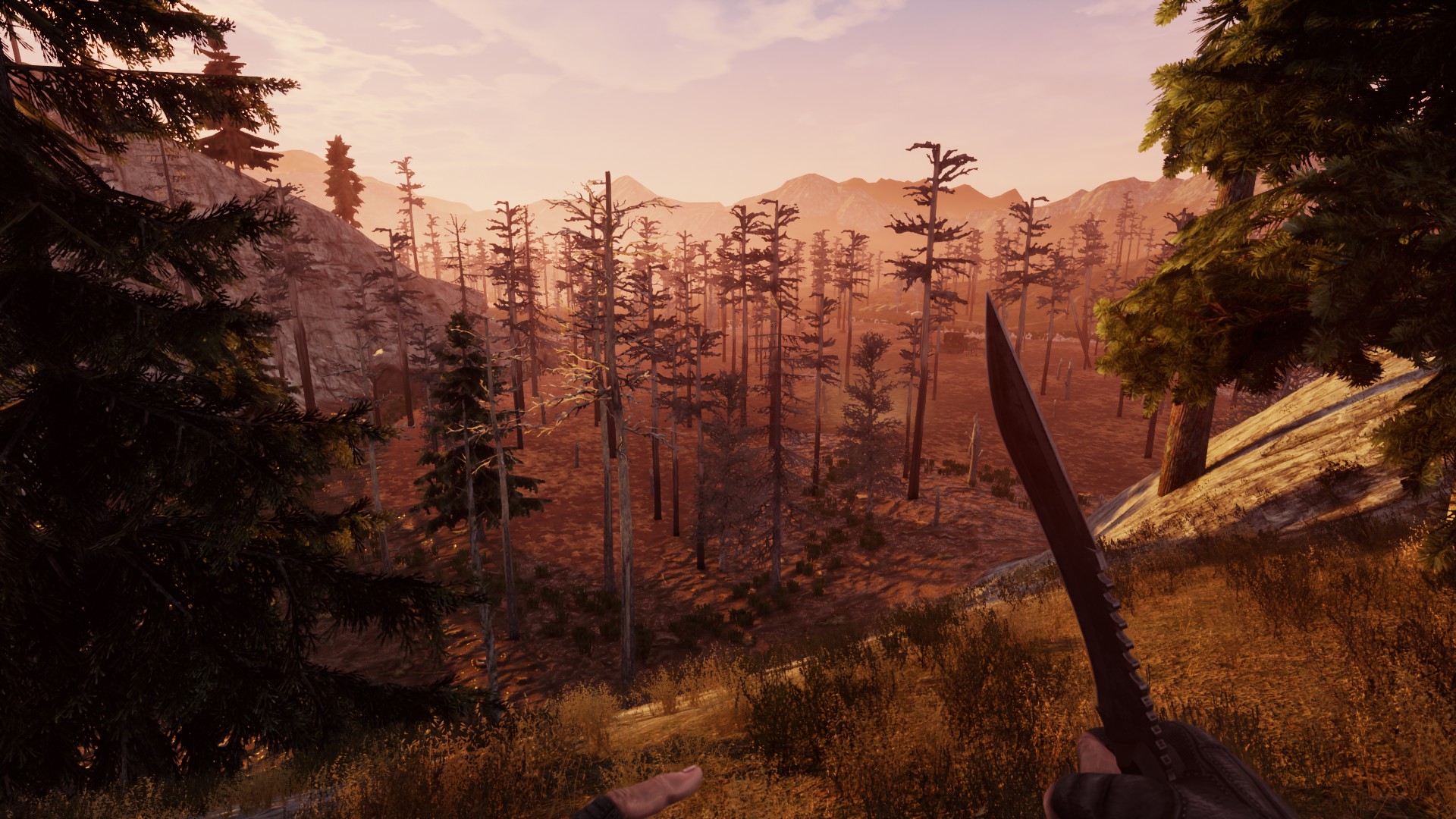 Скриншот из игры Will To Live Online - 30