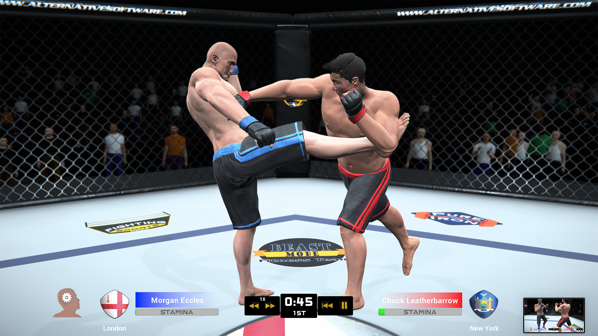 Скриншот из игры MMA Team Manager - 11