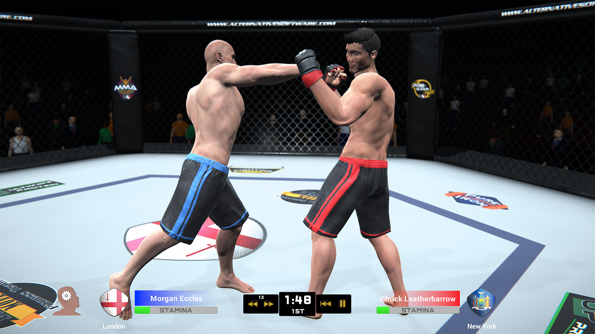 Скриншот из игры MMA Team Manager - 12