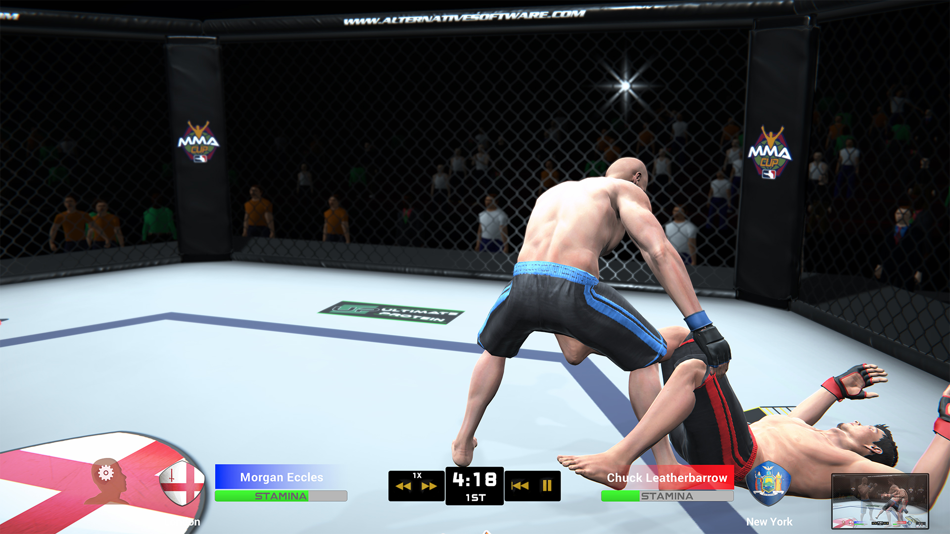 Скриншот из игры MMA Team Manager - 13