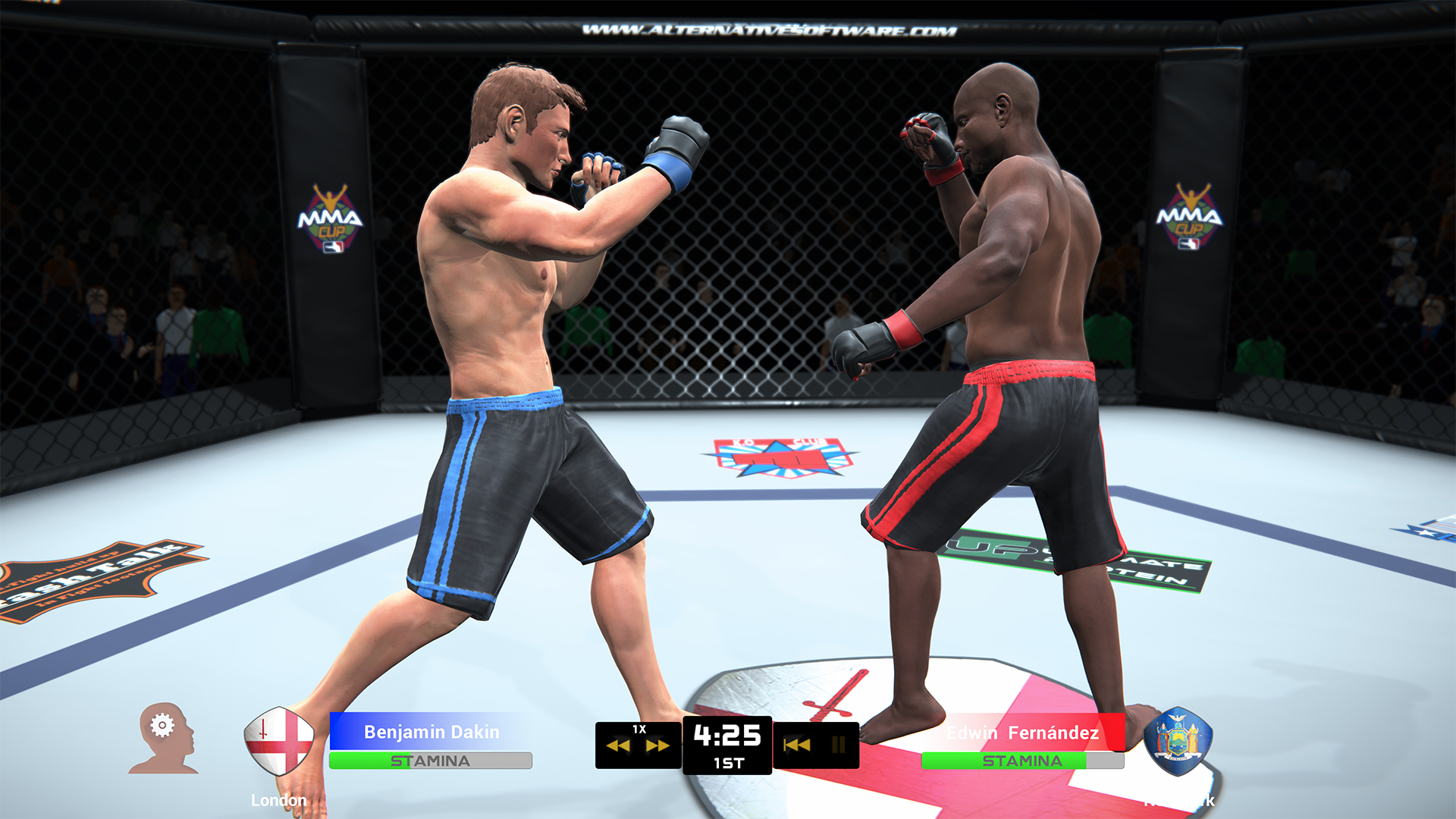 Скриншот из игры MMA Team Manager - 14