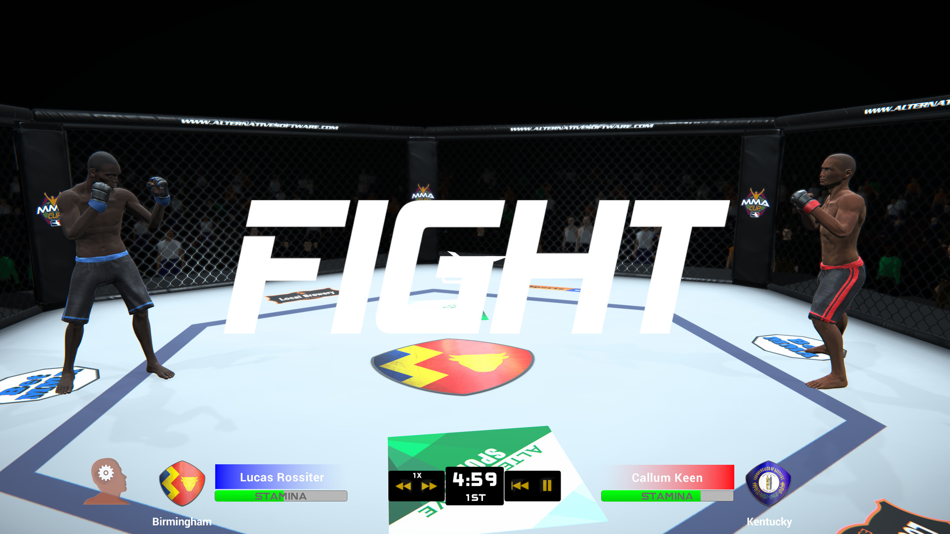 Скриншот из игры MMA Team Manager - 16