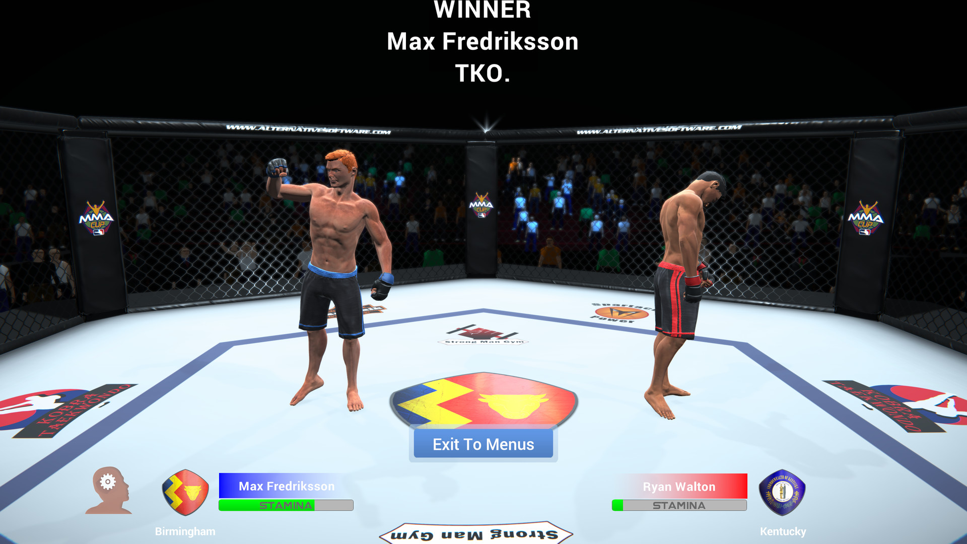 Скриншот из игры MMA Team Manager - 4