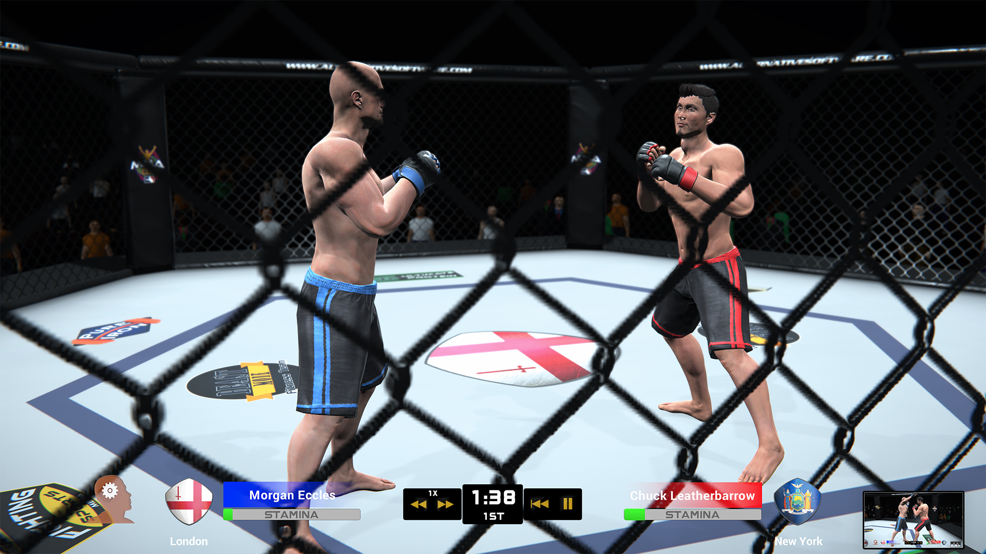 Скриншот из игры MMA Team Manager - 9