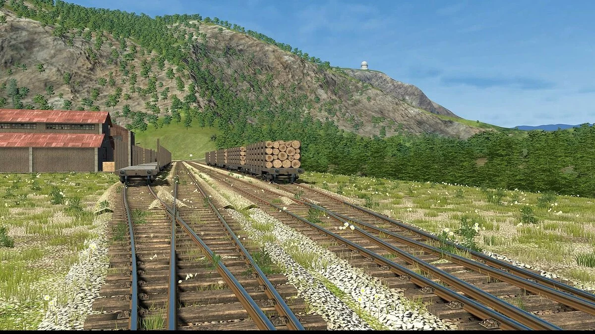 Скриншот из игры Derail Valley - 43