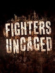 Обложка игры Fighters Uncaged