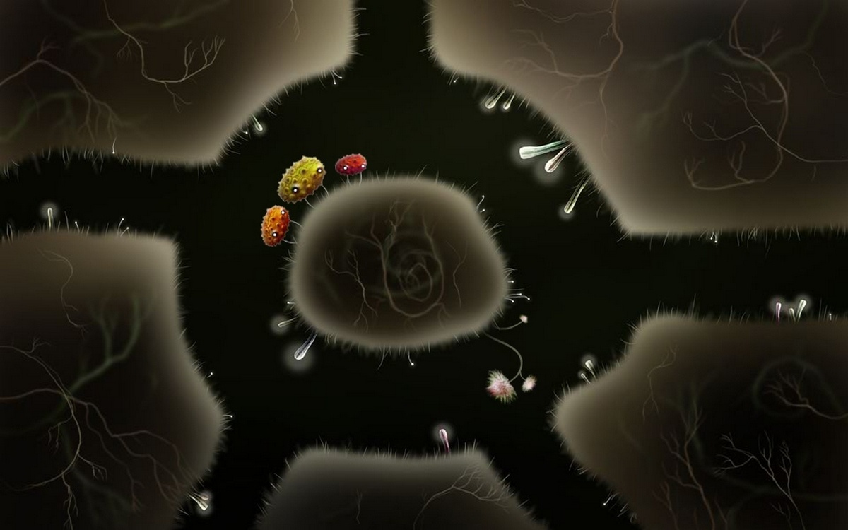 Скриншот из игры Botanicula - 99