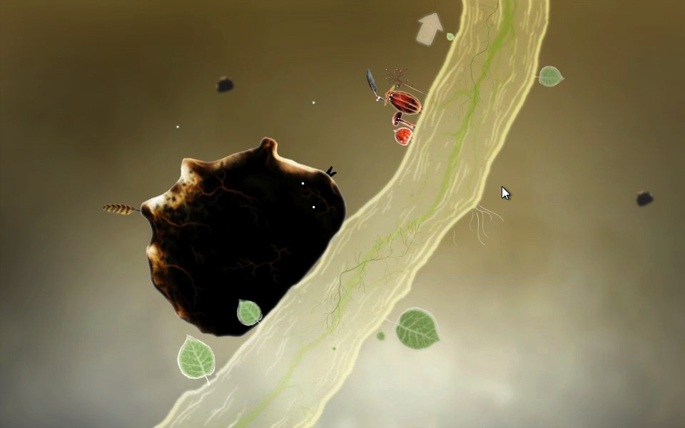 Скриншот из игры Botanicula - 78