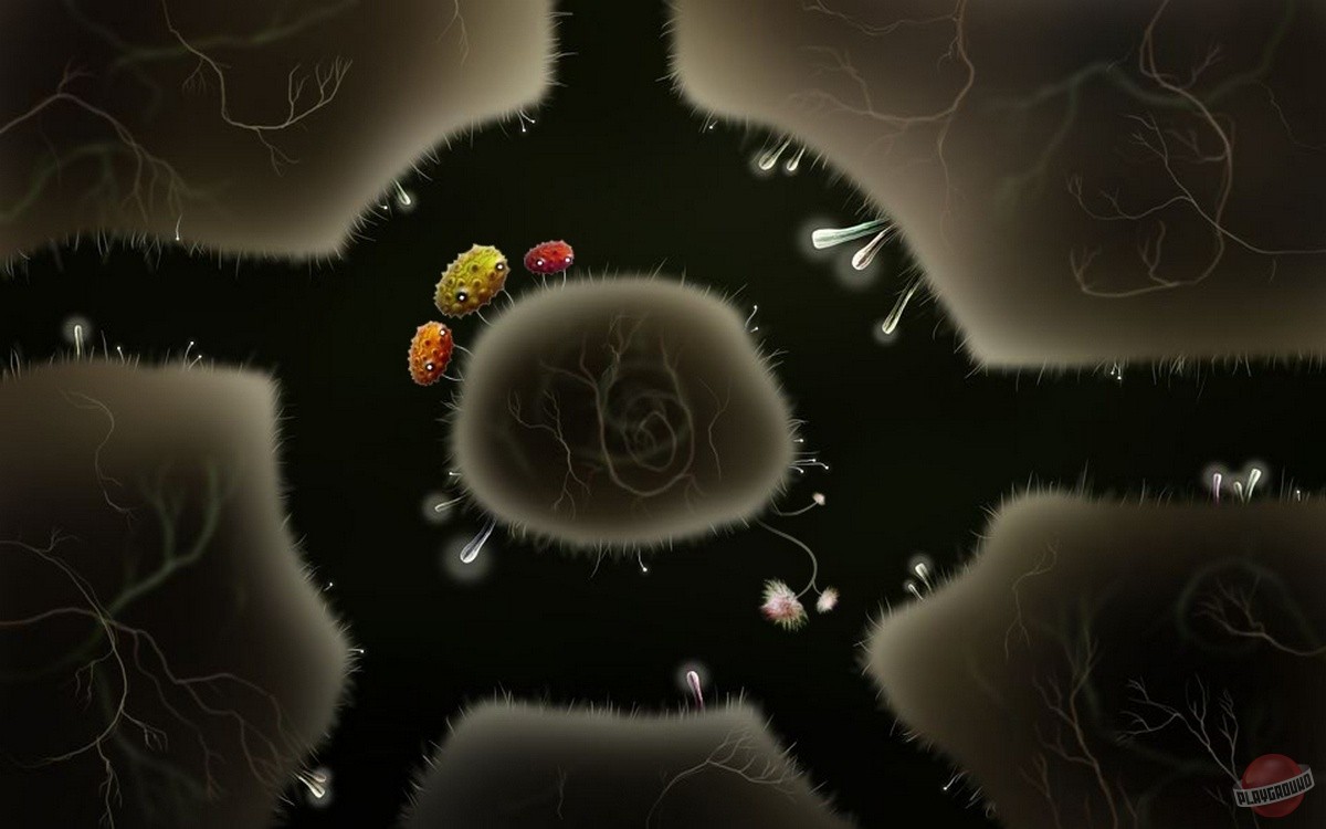 Скриншот из игры Botanicula - 44