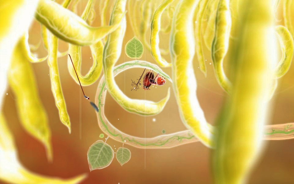 Скриншот из игры Botanicula - 118