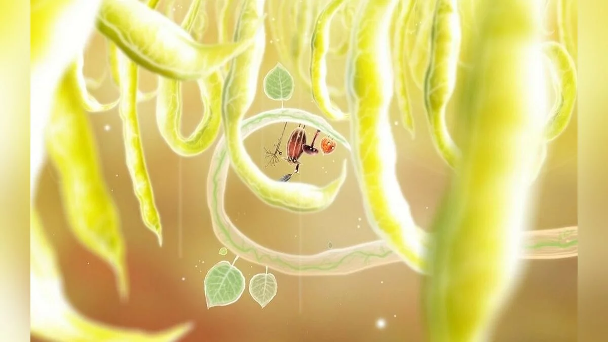 Скриншот из игры Botanicula - 38