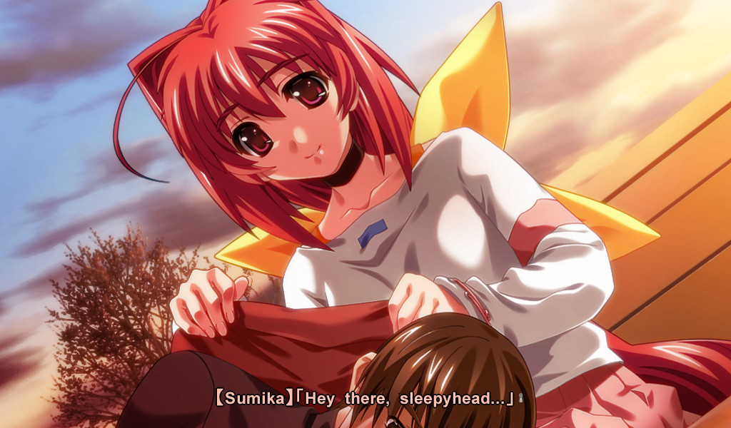 Скриншот из игры Muv-Luv Alternative - 17