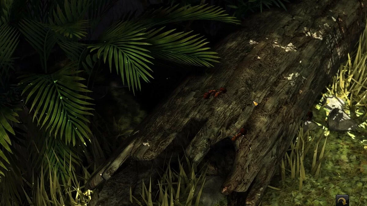 Скриншот из игры Secret Files: Sam Peters - 20