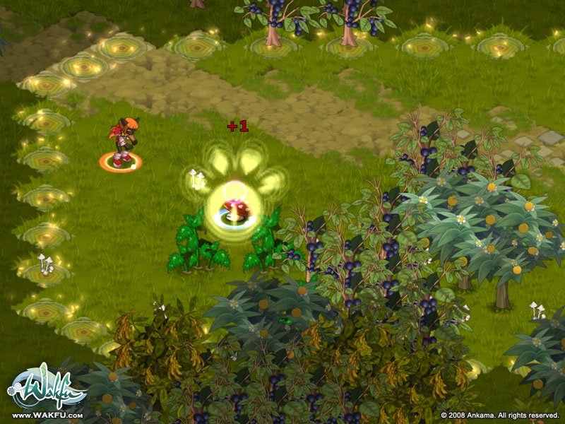 Скриншот из игры Wakfu - 37