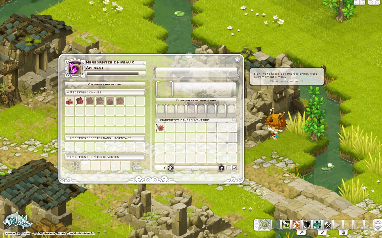 Скриншот из игры Wakfu - 129