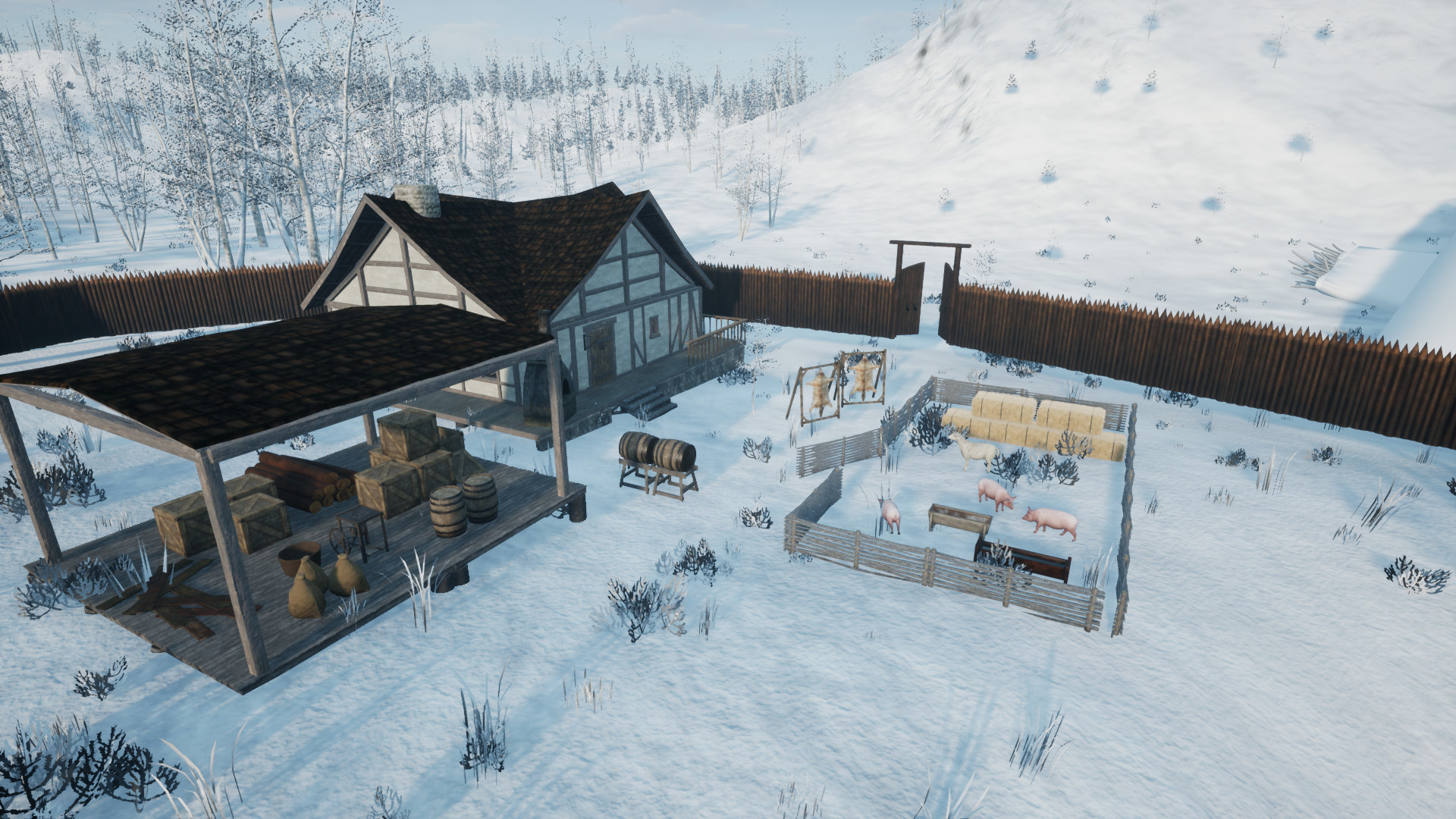 Скриншот из игры Vilset - 7