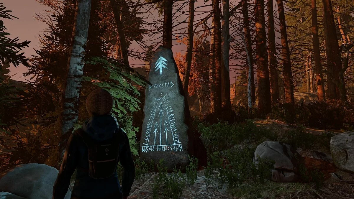 Скриншот из игры Through the Woods - 24