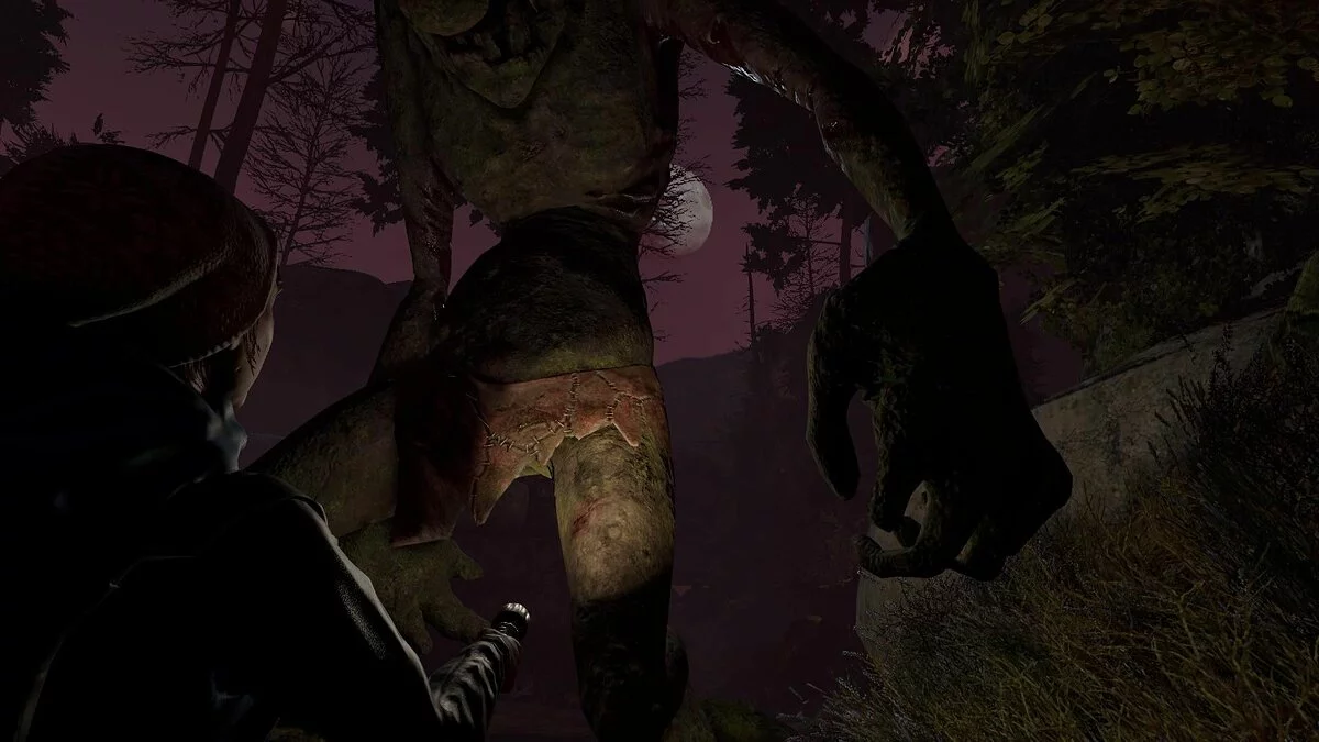 Скриншот из игры Through the Woods - 27