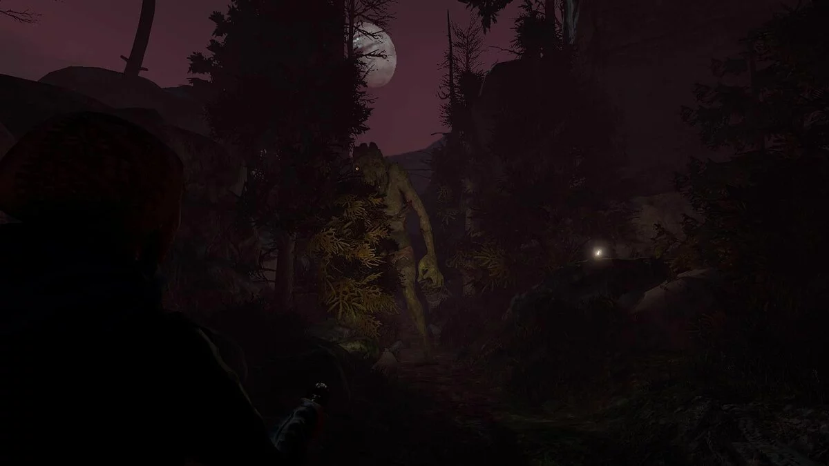 Скриншот из игры Through the Woods - 32