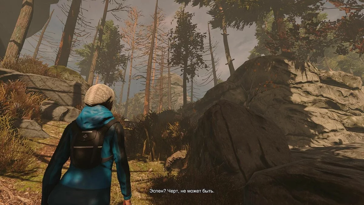 Скриншот из игры Through the Woods - 48