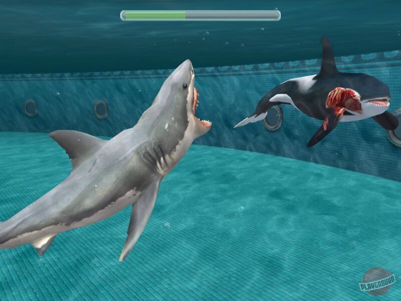 Скриншот из игры Jaws Unleashed - 2