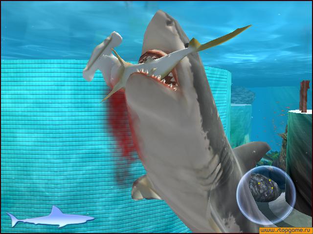 Скриншот из игры Jaws Unleashed - 4