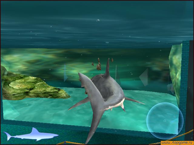 Скриншот из игры Jaws Unleashed - 22