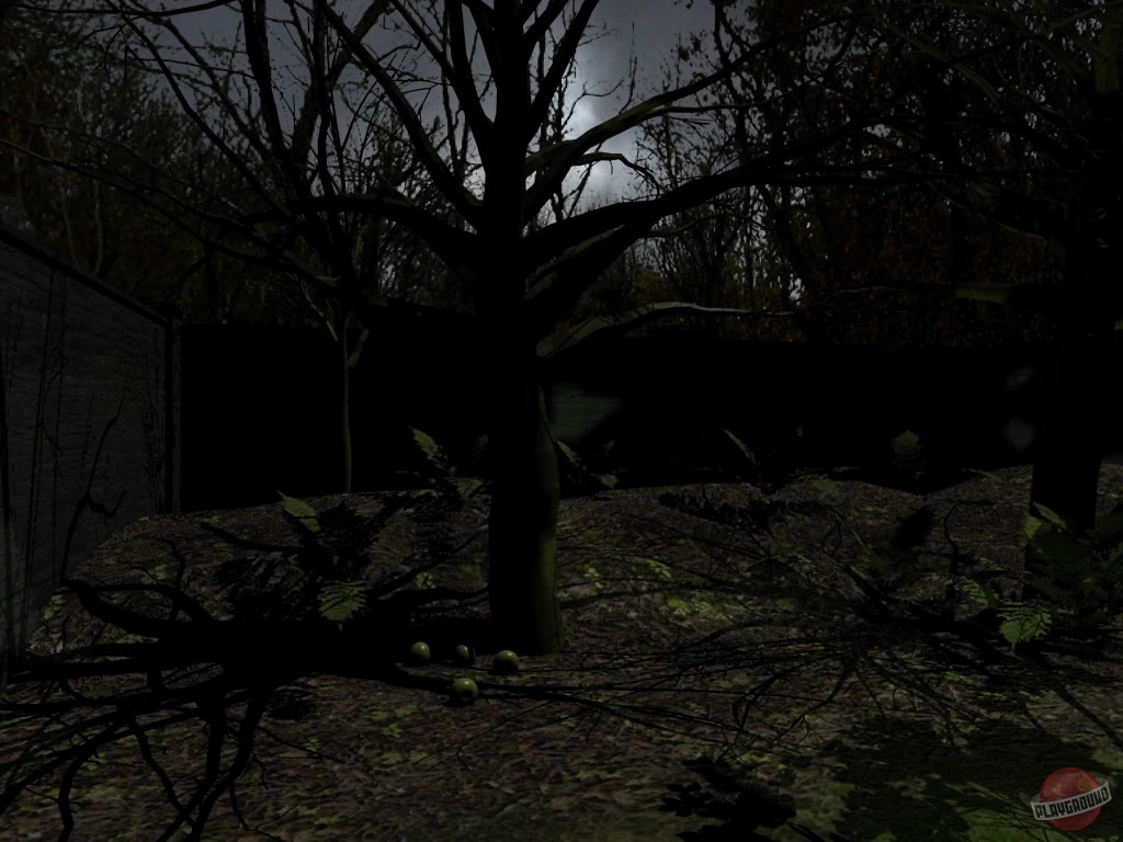 Скриншот из игры Рианнон: Проклятие четырех ветвей - 21