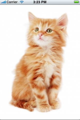 Скриншот из игры SlidePuzzle - Baby Kitten - 3