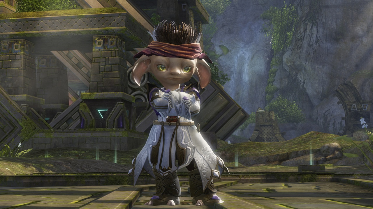 Скриншот из игры Guild Wars 2 - 346