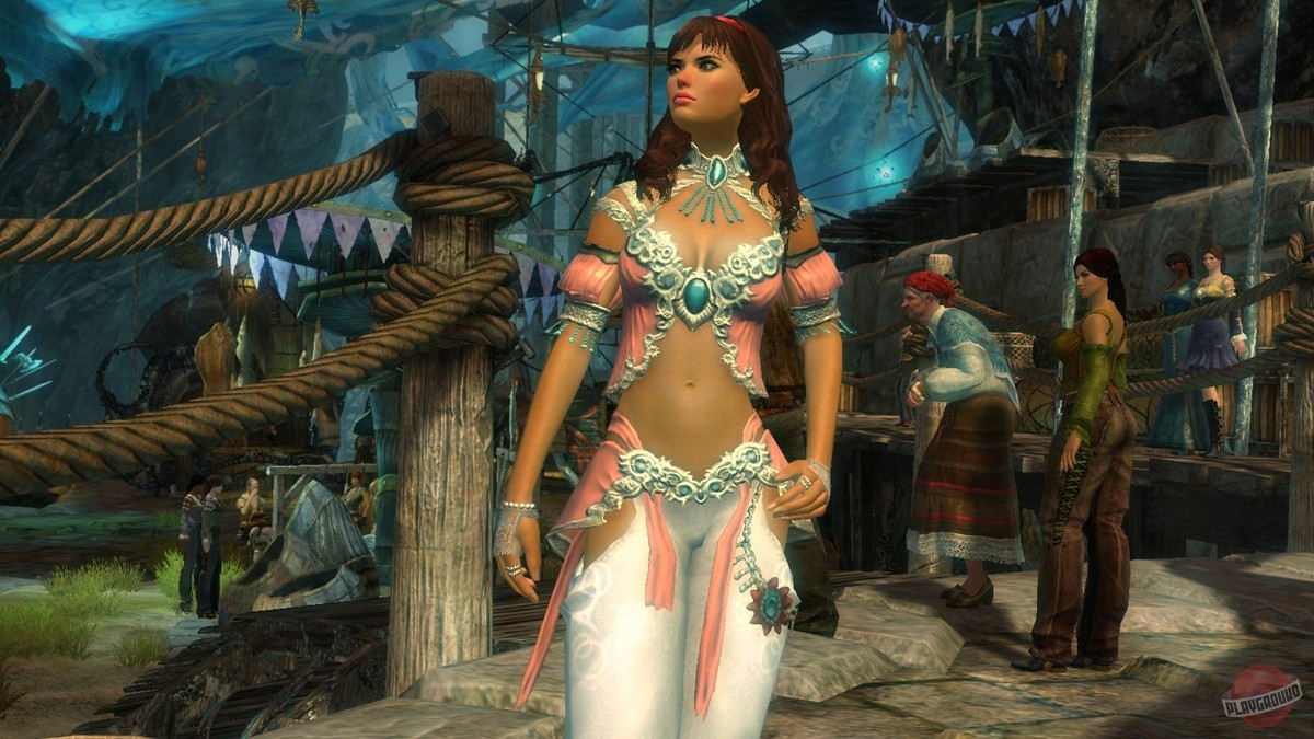 Скриншот из игры Guild Wars 2 - 249